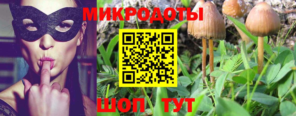Миллерово  Галлюциногенные грибы Magic Shrooms  Галлюциногенные грибы прущие грибы  Вход с VPN 