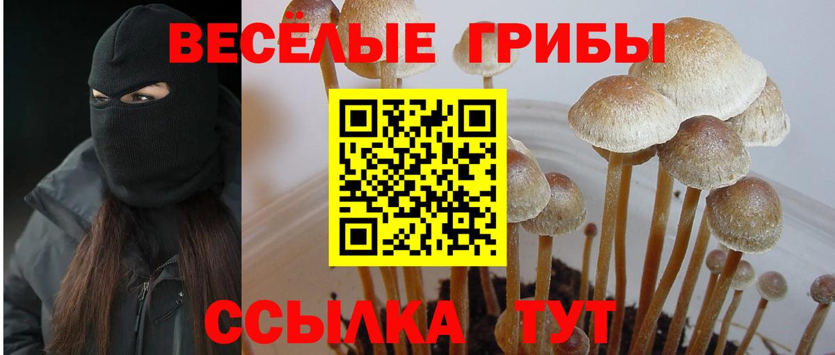 Галлюциногенные грибы прущие грибы Миллерово